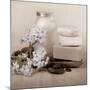 Hydrangea and Soap-Julie Greenwood-Mounted Premium Giclee Print