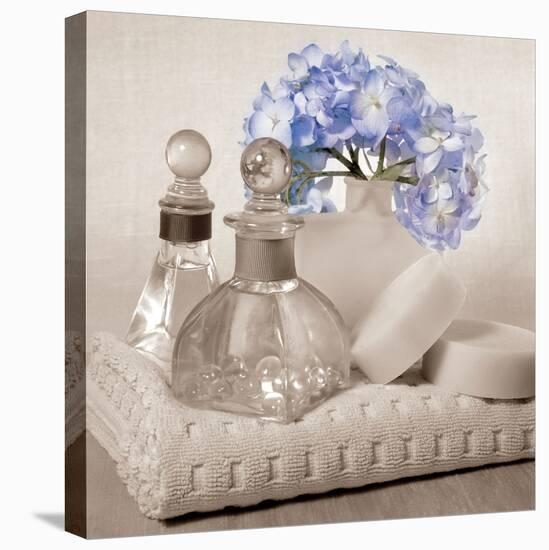 Hydrangea and Towel-Julie Greenwood-Stretched Canvas