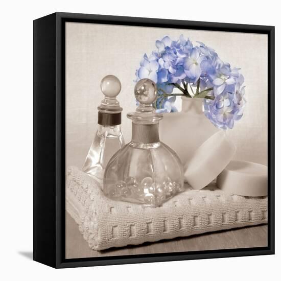 Hydrangea and Towel-Julie Greenwood-Framed Stretched Canvas