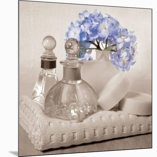 Hydrangea and Towel-Julie Greenwood-Mounted Art Print