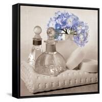 Hydrangea and Towel-Julie Greenwood-Framed Stretched Canvas