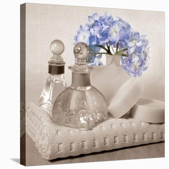 Hydrangea and Towel-Julie Greenwood-Stretched Canvas