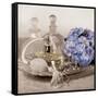 Hydrangea and Tray-Julie Greenwood-Framed Stretched Canvas