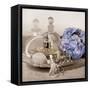 Hydrangea and Tray-Julie Greenwood-Framed Stretched Canvas