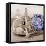 Hydrangea and Tray-Julie Greenwood-Framed Stretched Canvas