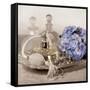 Hydrangea and Tray-Julie Greenwood-Framed Stretched Canvas