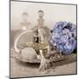 Hydrangea and Tray-Julie Greenwood-Mounted Art Print