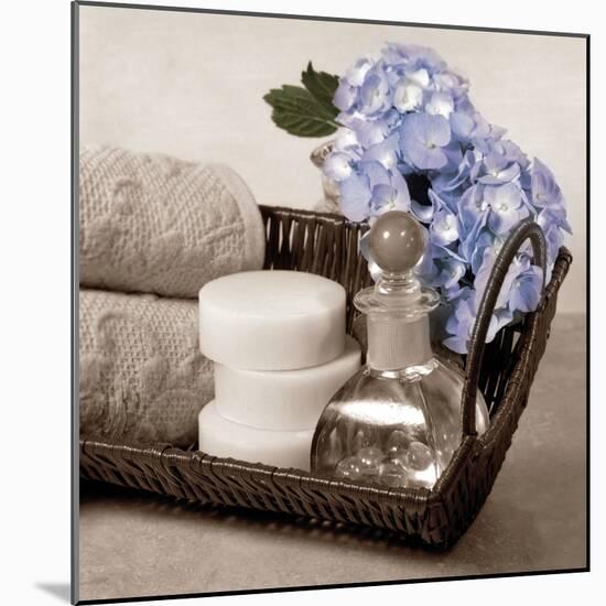 Hydrangea and Wicker-Julie Greenwood-Mounted Art Print