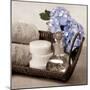 Hydrangea and Wicker-Julie Greenwood-Mounted Premium Giclee Print