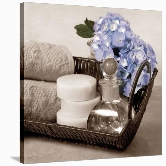 Hydrangea and Wicker-Julie Greenwood-Stretched Canvas