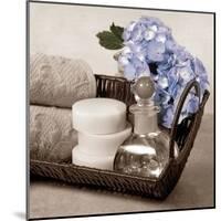 Hydrangea and Wicker-Julie Greenwood-Mounted Art Print