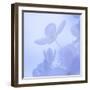 Hydrangea Blossom II-Kathy Mahan-Framed Photographic Print