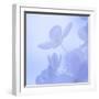 Hydrangea Blossom II-Kathy Mahan-Framed Photographic Print