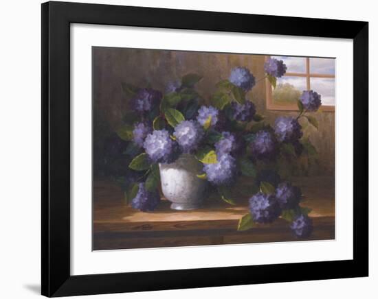 Hydrangea Blossoms II-Welby-Framed Art Print