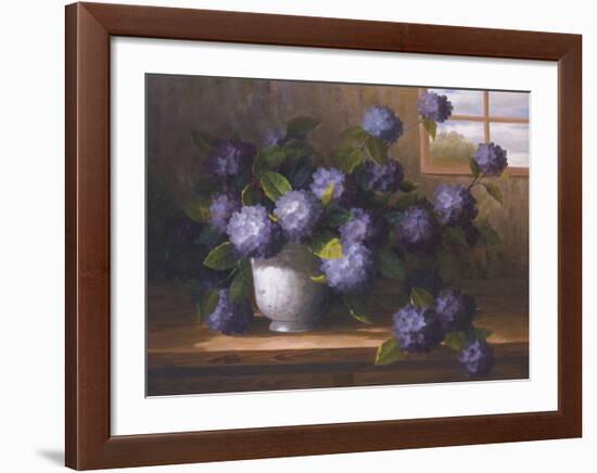 Hydrangea Blossoms II-Welby-Framed Art Print