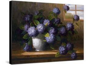 Hydrangea Blossoms II-Welby-Stretched Canvas