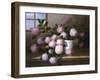 Hydrangea Blossoms l-Welby-Framed Art Print