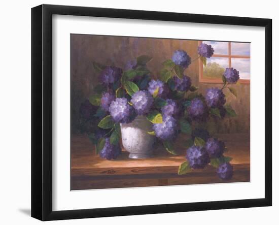 Hydrangea Blossoms ll-Welby-Framed Art Print