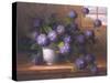 Hydrangea Blossoms ll-Welby-Stretched Canvas