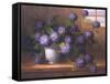 Hydrangea Blossoms ll-Welby-Framed Stretched Canvas