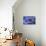 Hydrangea Blue IV-Rita Crane-Photographic Print displayed on a wall