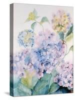 Hydrangea, Blue Wave I-Karen Armitage-Stretched Canvas