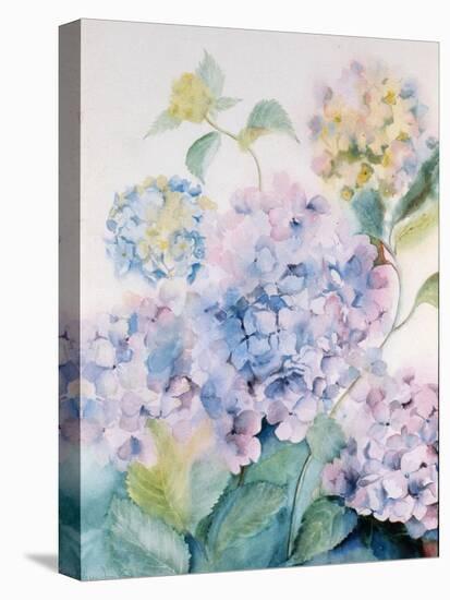 Hydrangea, Blue Wave I-Karen Armitage-Stretched Canvas