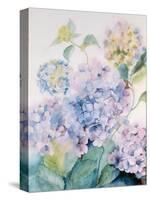 Hydrangea, Blue Wave I-Karen Armitage-Stretched Canvas