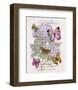 Hydrangea Butterflies II-Ginny Joyner-Framed Art Print