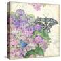 Hydrangea & Butterflies-Julie Paton-Stretched Canvas