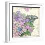 Hydrangea & Butterflies-Julie Paton-Framed Art Print