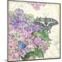 Hydrangea & Butterflies-Julie Paton-Mounted Art Print