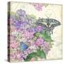 Hydrangea & Butterflies-Julie Paton-Stretched Canvas