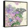 Hydrangea & Butterflies-Julie Paton-Framed Stretched Canvas