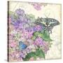 Hydrangea & Butterflies-Julie Paton-Stretched Canvas