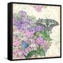 Hydrangea & Butterflies-Julie Paton-Framed Stretched Canvas