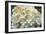 Hydrangea Delight I-Felicity Bradley-Framed Art Print