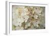 Hydrangea Delight II-Felicity Bradley-Framed Premium Giclee Print