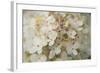 Hydrangea Delight II-Felicity Bradley-Framed Art Print