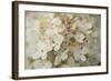 Hydrangea Delight II-Felicity Bradley-Framed Art Print