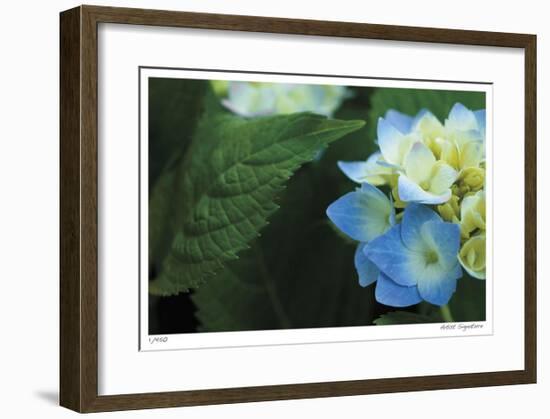 Hydrangea Detail 2-Stacy Bass-Framed Giclee Print