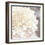 Hydrangea Dream I-Laura Marshall-Framed Art Print