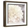 Hydrangea Dream I-Laura Marshall-Framed Art Print