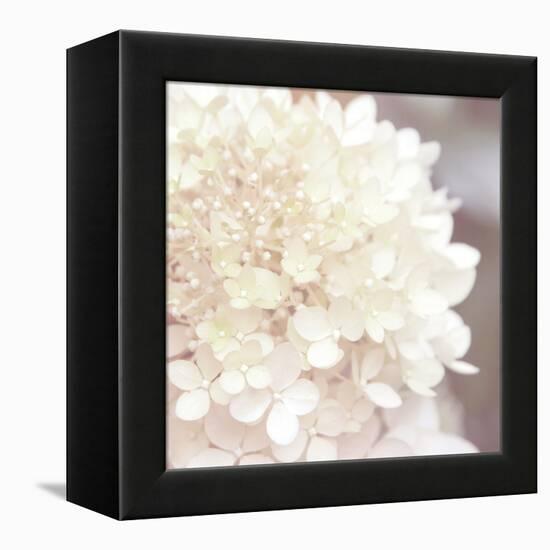 Hydrangea Dream I-Laura Marshall-Framed Stretched Canvas