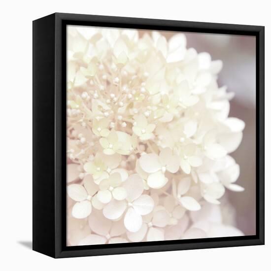 Hydrangea Dream I-Laura Marshall-Framed Stretched Canvas