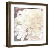 Hydrangea Dream II-Laura Marshall-Framed Art Print