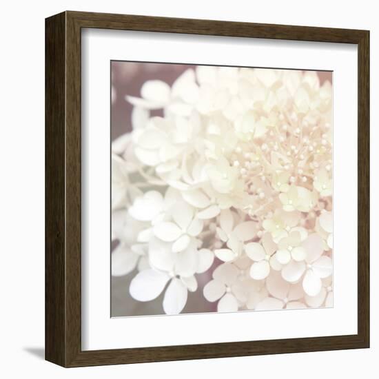 Hydrangea Dream II-Laura Marshall-Framed Art Print