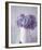 Hydrangea Dream-Bill Philip-Framed Giclee Print