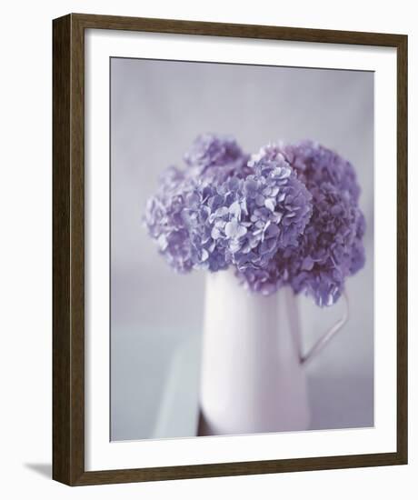 Hydrangea Dream-Bill Philip-Framed Giclee Print