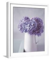 Hydrangea Dream-Bill Philip-Framed Giclee Print